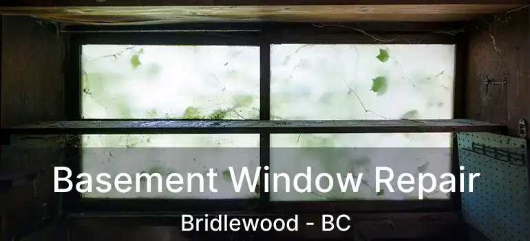  Basement Window Repair Bridlewood - BC