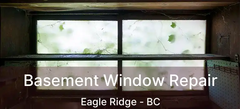  Basement Window Repair Eagle Ridge - BC