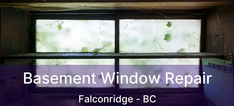  Basement Window Repair Falconridge - BC
