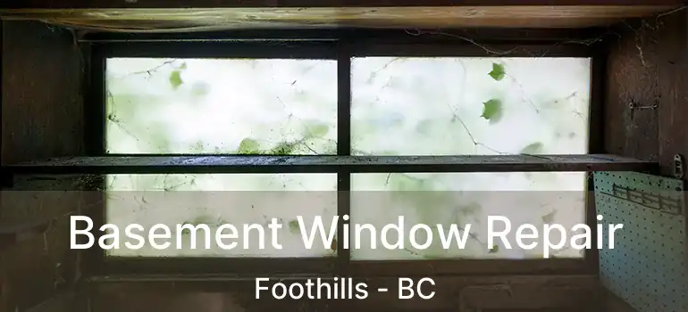  Basement Window Repair Foothills - BC
