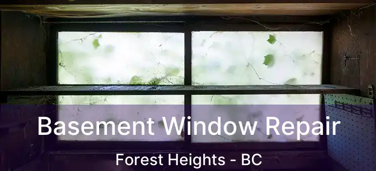  Basement Window Repair Forest Heights - BC