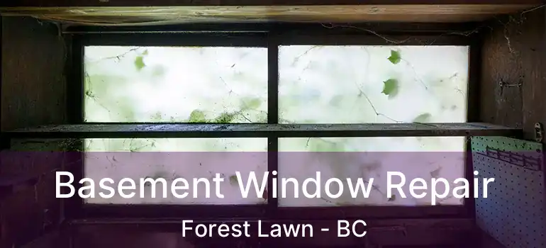  Basement Window Repair Forest Lawn - BC
