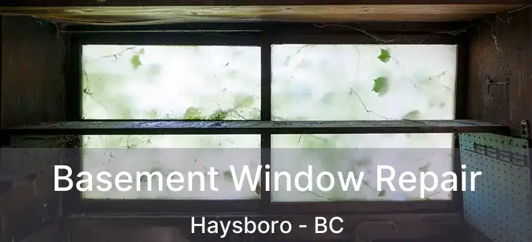  Basement Window Repair Haysboro - BC