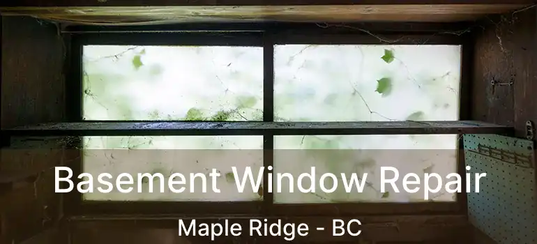  Basement Window Repair Maple Ridge - BC