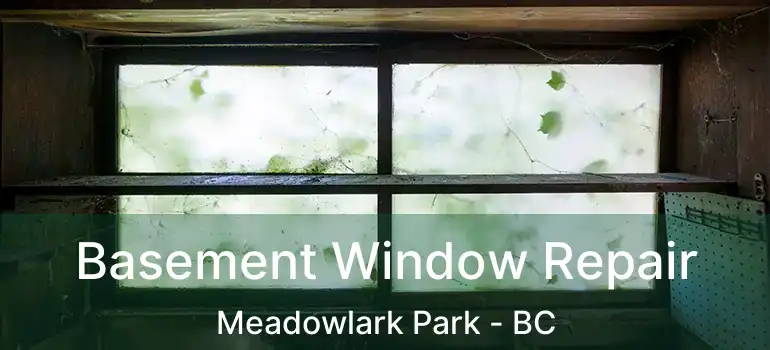  Basement Window Repair Meadowlark Park - BC
