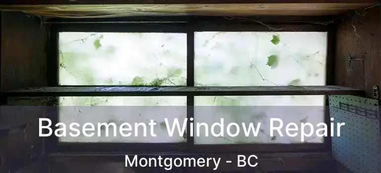  Basement Window Repair Montgomery - BC