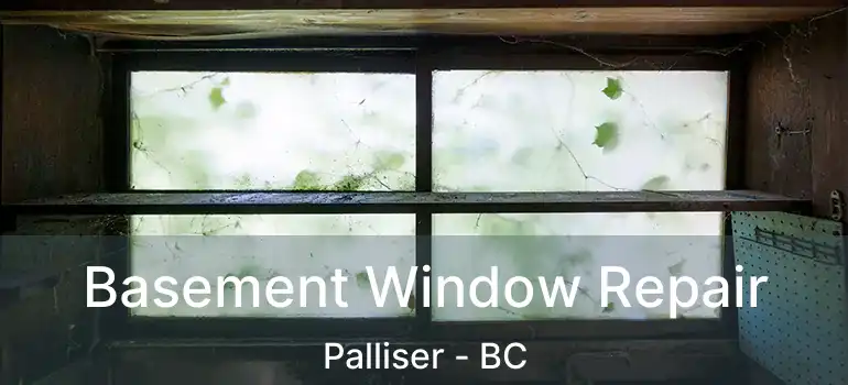  Basement Window Repair Palliser - BC