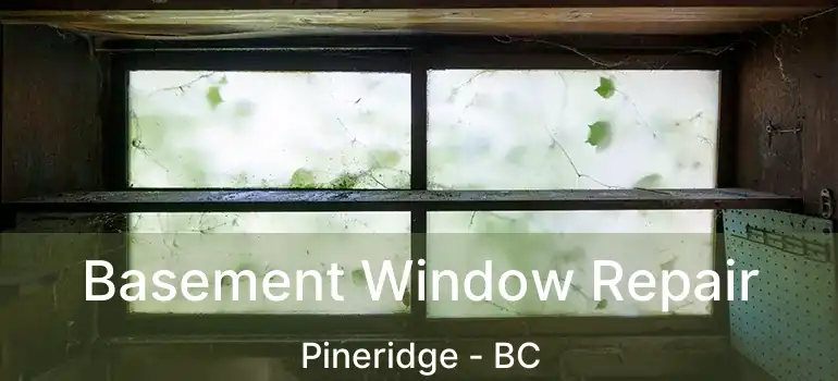  Basement Window Repair Pineridge - BC