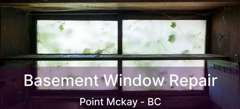  Basement Window Repair Point Mckay - BC