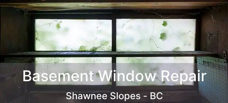  Basement Window Repair Shawnee Slopes - BC