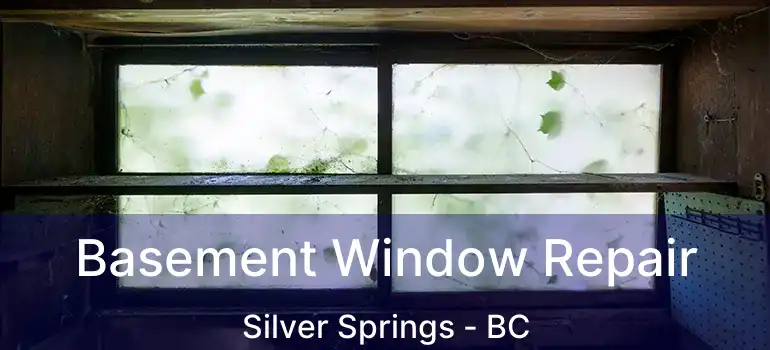  Basement Window Repair Silver Springs - BC