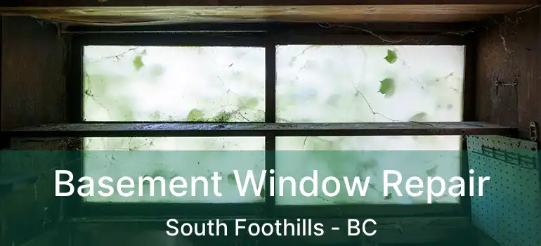  Basement Window Repair South Foothills - BC