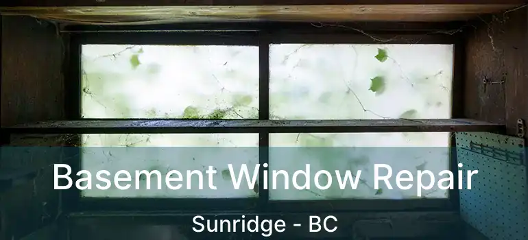  Basement Window Repair Sunridge - BC