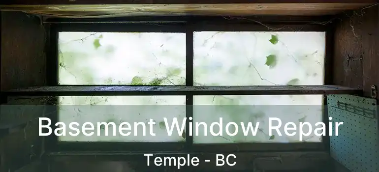  Basement Window Repair Temple - BC
