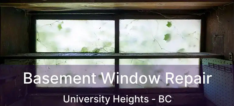  Basement Window Repair University Heights - BC