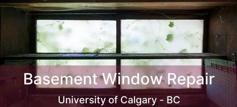  Basement Window Repair University of Calgary - BC