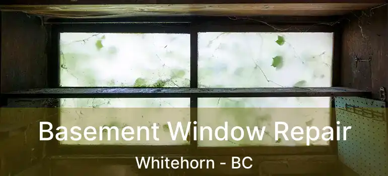  Basement Window Repair Whitehorn - BC