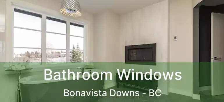  Bathroom Windows Bonavista Downs - BC