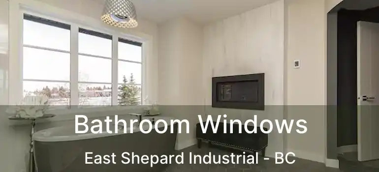  Bathroom Windows East Shepard Industrial - BC