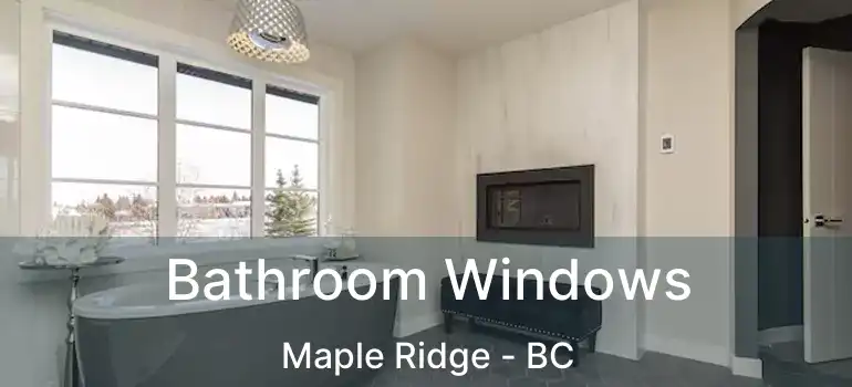  Bathroom Windows Maple Ridge - BC