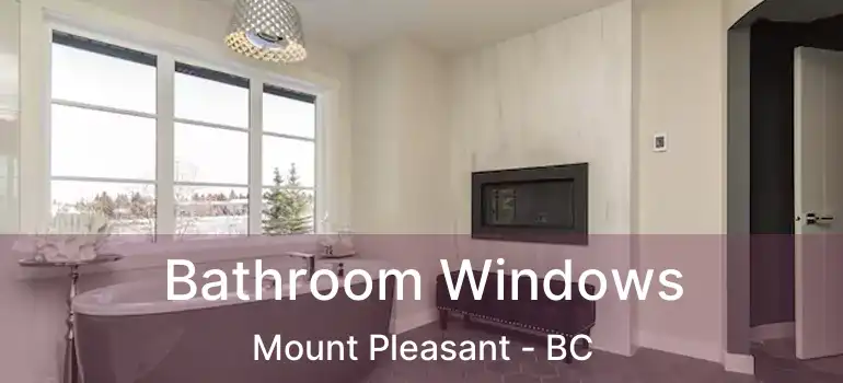  Bathroom Windows Mount Pleasant - BC