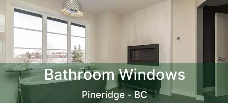  Bathroom Windows Pineridge - BC