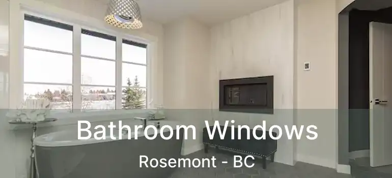  Bathroom Windows Rosemont - BC