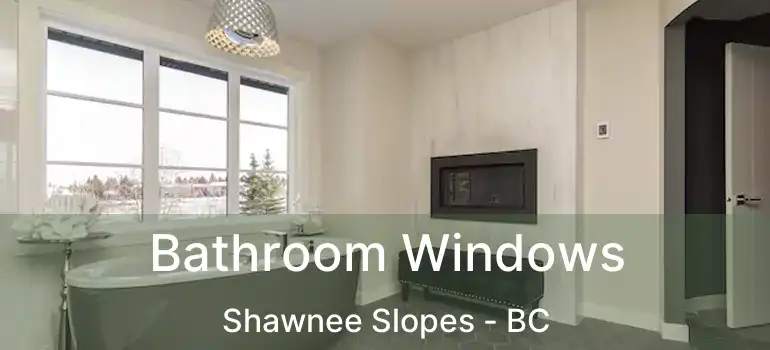  Bathroom Windows Shawnee Slopes - BC