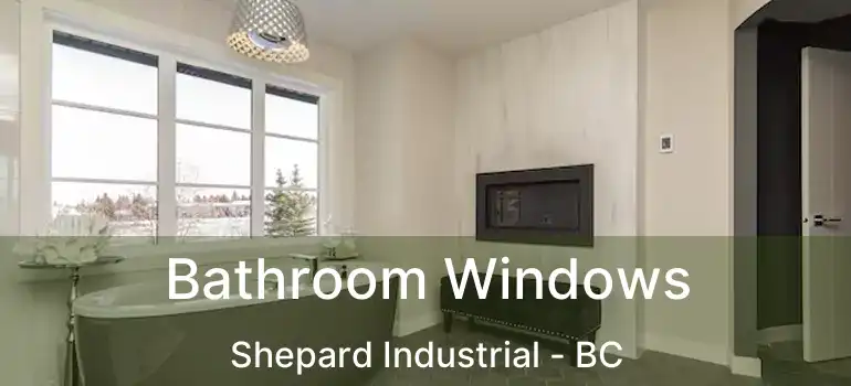  Bathroom Windows Shepard Industrial - BC