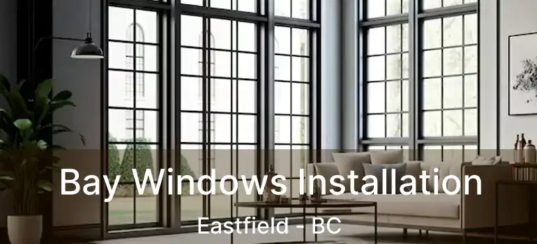  Bay Windows Installation Eastfield - BC