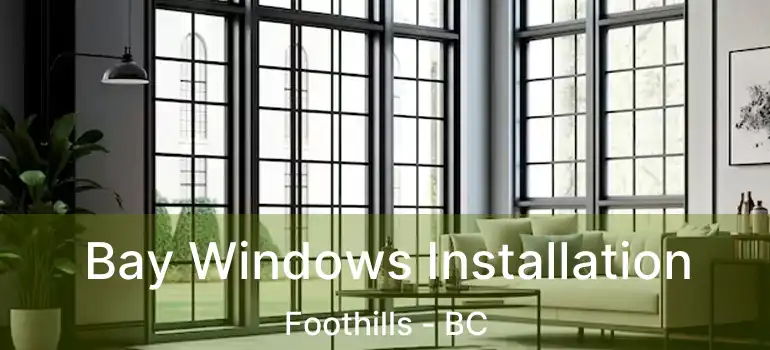  Bay Windows Installation Foothills - BC