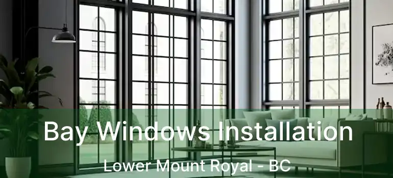  Bay Windows Installation Lower Mount Royal - BC
