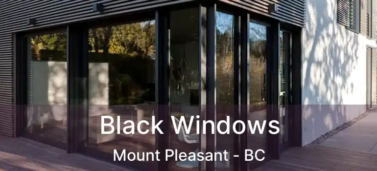  Black Windows Mount Pleasant - BC
