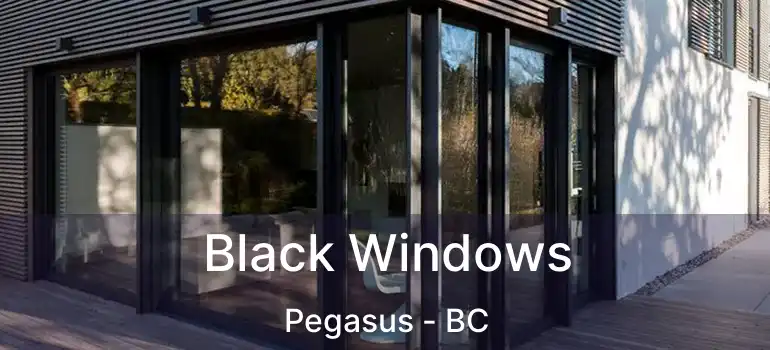  Black Windows Pegasus - BC