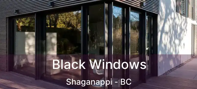  Black Windows Shaganappi - BC