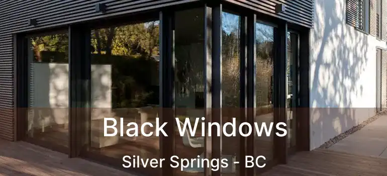  Black Windows Silver Springs - BC