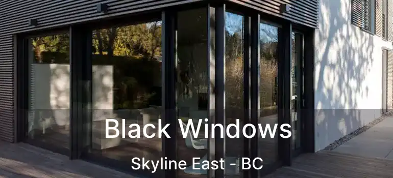  Black Windows Skyline East - BC