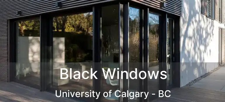  Black Windows University of Calgary - BC