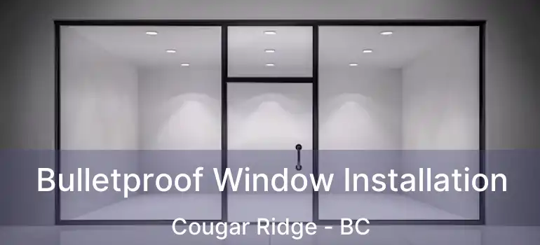  Bulletproof Window Installation Cougar Ridge - BC