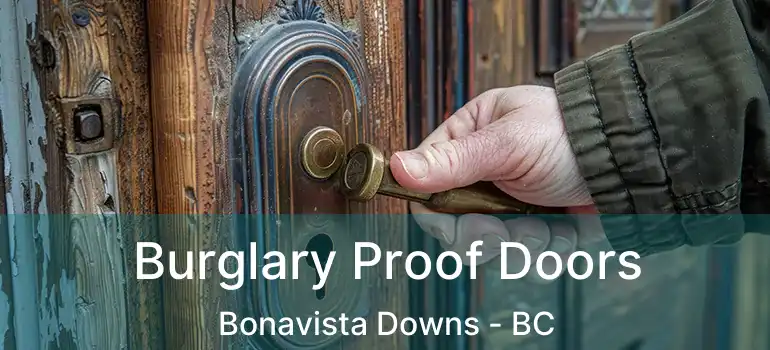  Burglary Proof Doors Bonavista Downs - BC
