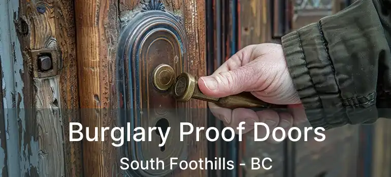  Burglary Proof Doors South Foothills - BC