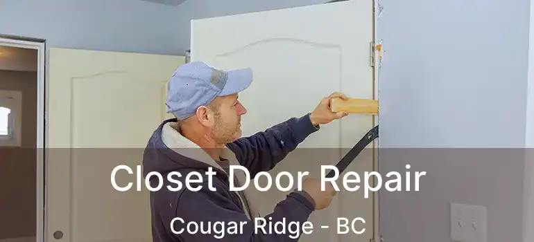  Closet Door Repair Cougar Ridge - BC