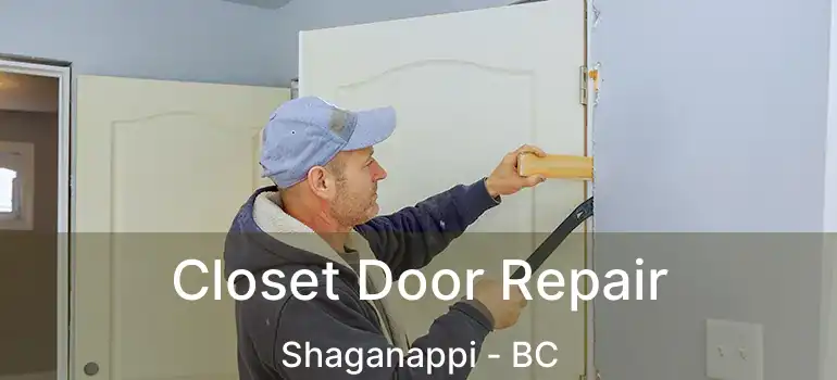  Closet Door Repair Shaganappi - BC