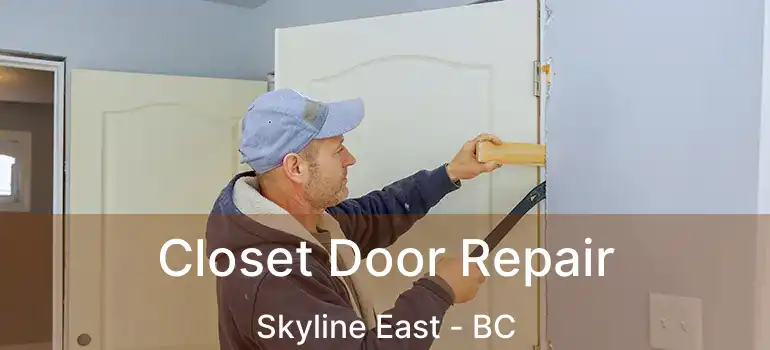  Closet Door Repair Skyline East - BC