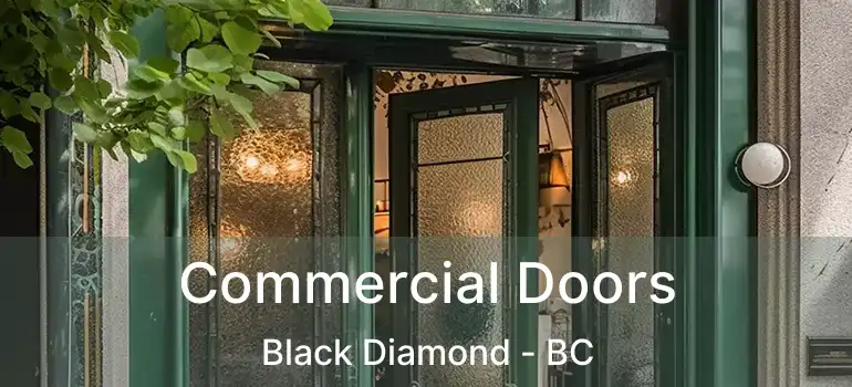  Commercial Doors Black Diamond - BC