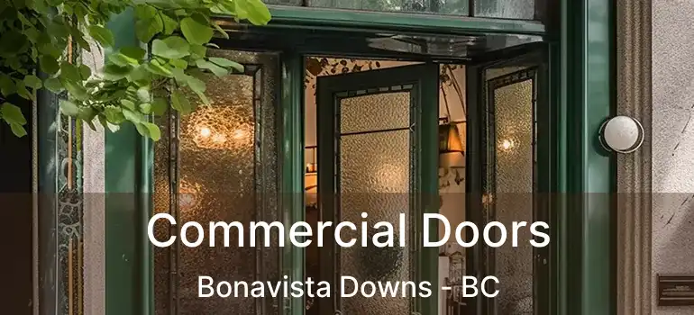  Commercial Doors Bonavista Downs - BC
