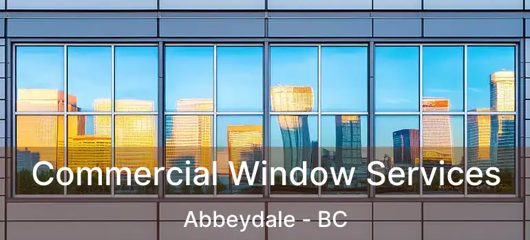  Commercial Window Services Abbeydale - BC