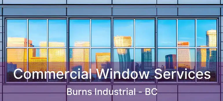  Commercial Window Services Burns Industrial - BC