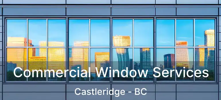  Commercial Window Services Castleridge - BC