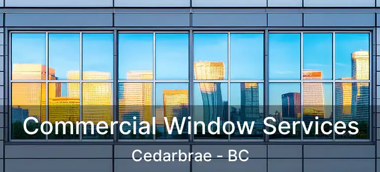  Commercial Window Services Cedarbrae - BC